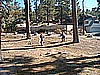 DSCF0063.JPG