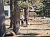 DSCF0066.JPG