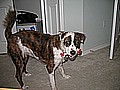 IMG_1874.jpg