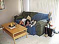 IMG_1926.jpg
