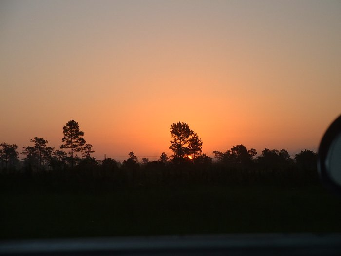 DSCF0002.JPG