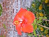 DSCF0058.JPG