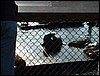DSCF0050.JPG