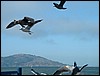 DSCF0059.JPG