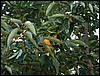 Picture143107AA.JPG